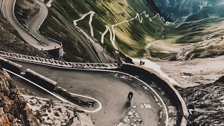 5NDG-_Dyżurny-rower_-Stelvio.jpg
