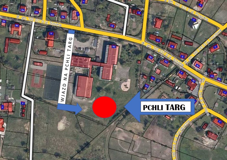 pchli targ sztutowo lokalizacja