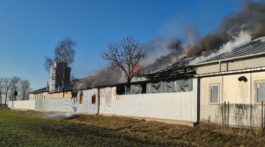 pożar nowy dwór gd  (14)