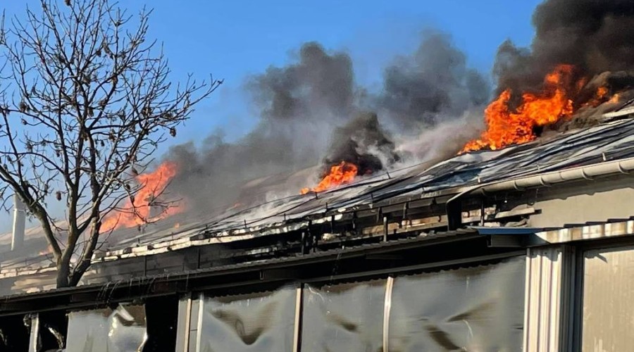 pożar nowy dwór gd  (19)