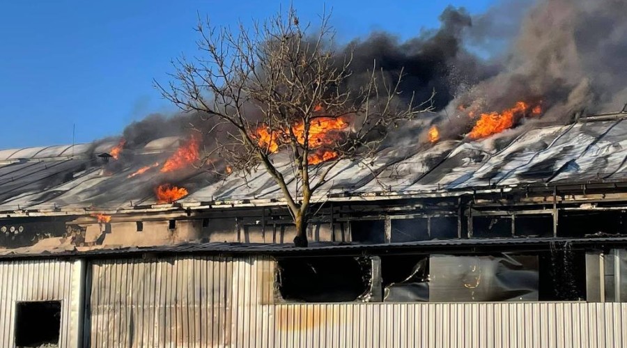 pożar nowy dwór gd  (26)