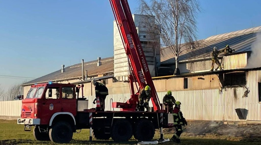pożar nowy dwór gd  (28)