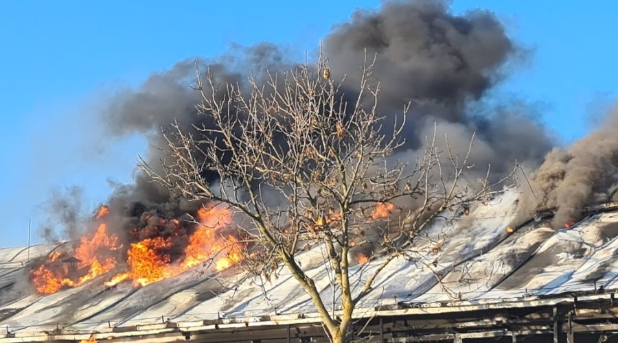 pożar nowy dwór gd  (34)