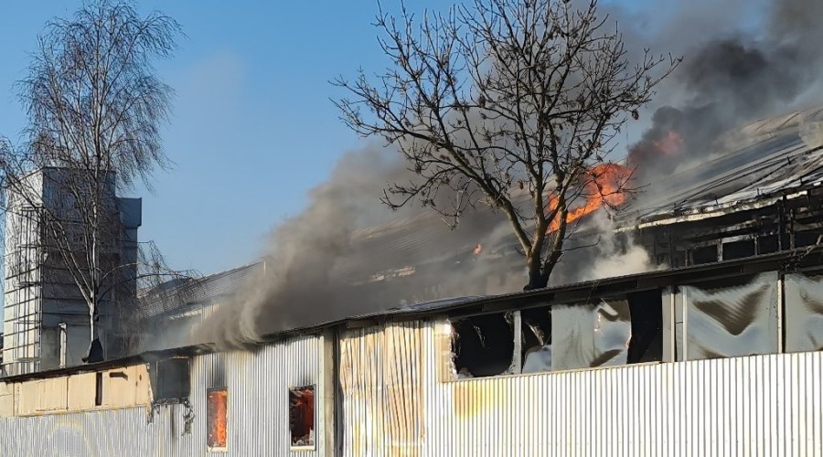 pożar nowy dwór gd  (4)