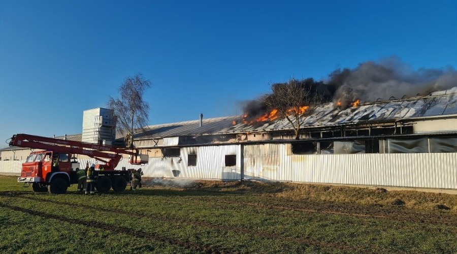 pożar nowy dwór gd  (5)