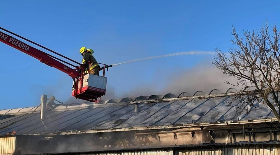 pożar nowy dwór gd  (9)