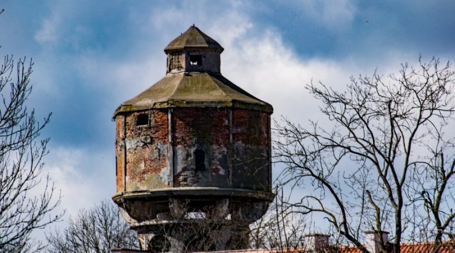 173156753_1185684405186510_9210465414367909335_n