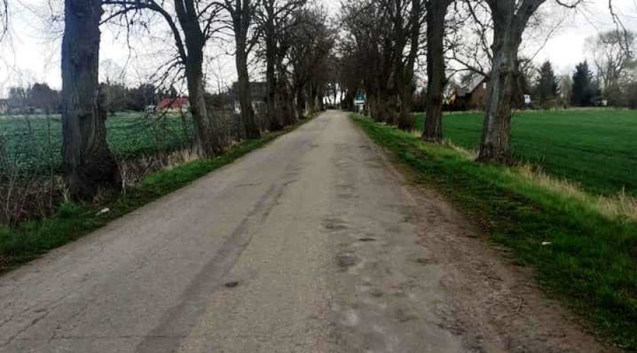 176413508_1137143000125452_1486275558354173700_n