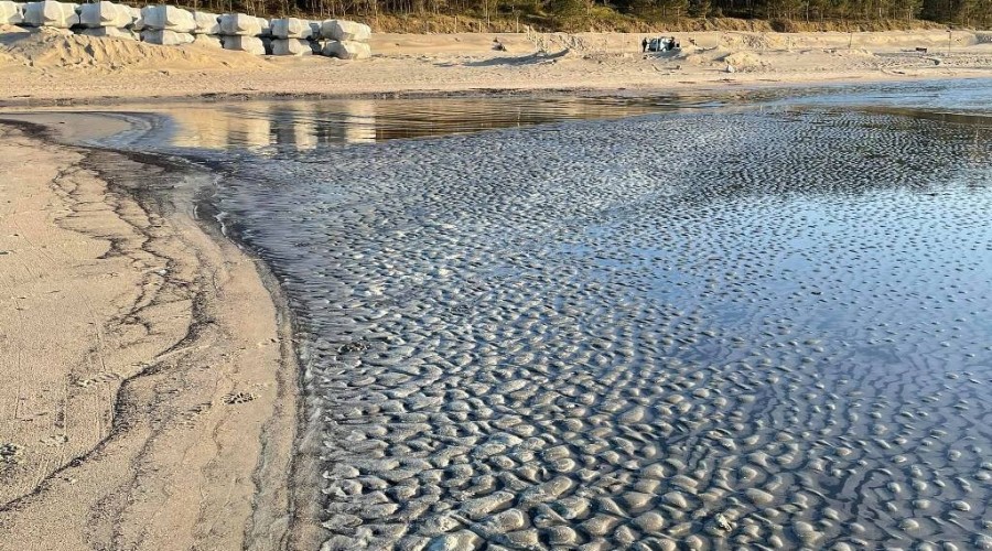 bursztynowa gorączka przekop0101