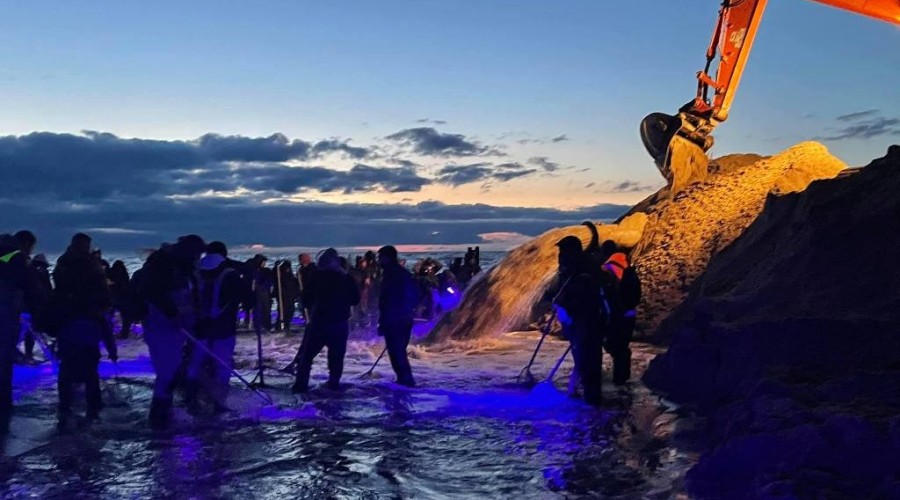 bursztynowa gorączka przekop0106