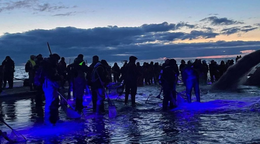 bursztynowa gorączka przekop0114