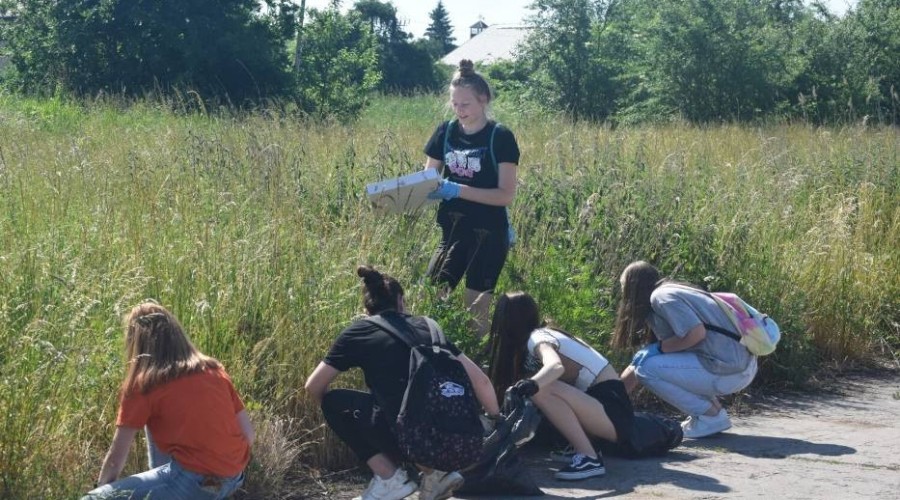 Kamil Kucharski/ Akcja sprzątania Nowego Dworu Gdańskiego. 