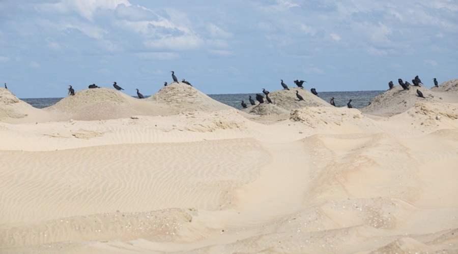 NDI Besix Mierzeja lipiec 2021-8