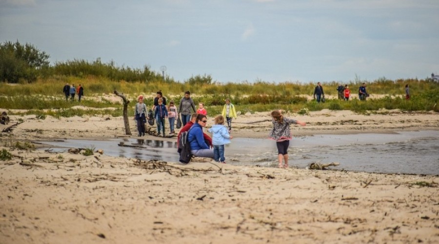 sprzątanie mewiej łachy20