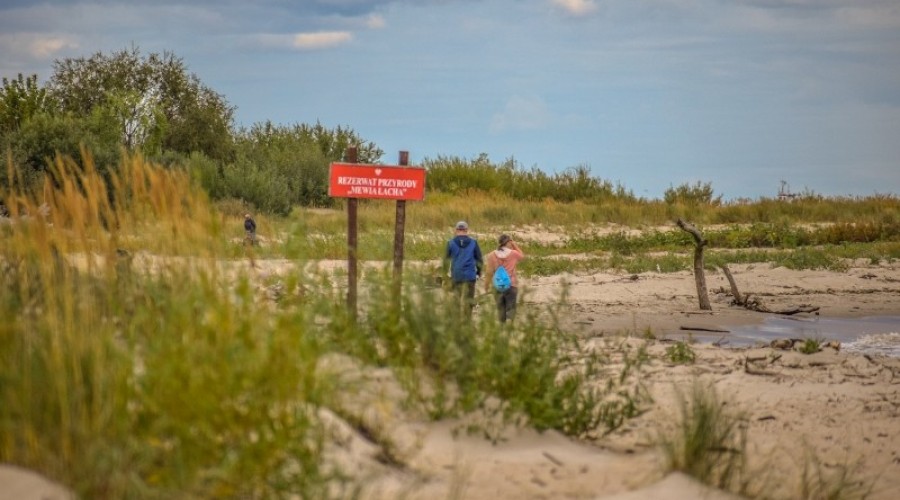 sprzątanie mewiej łachy27