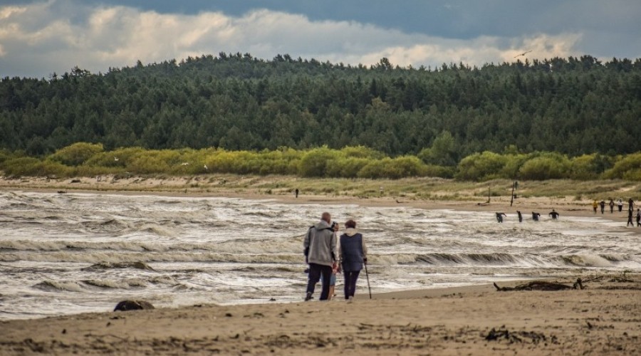 sprzątanie mewiej łachy38
