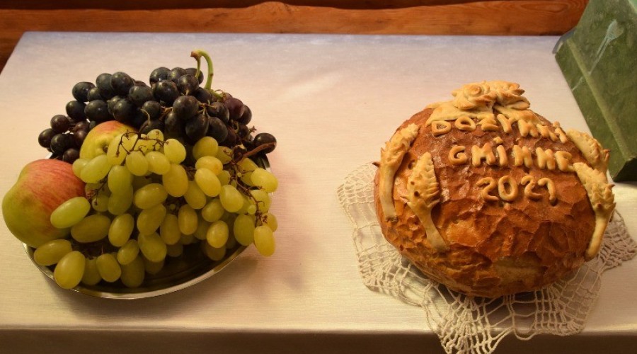 marzęcino dożynki (29)