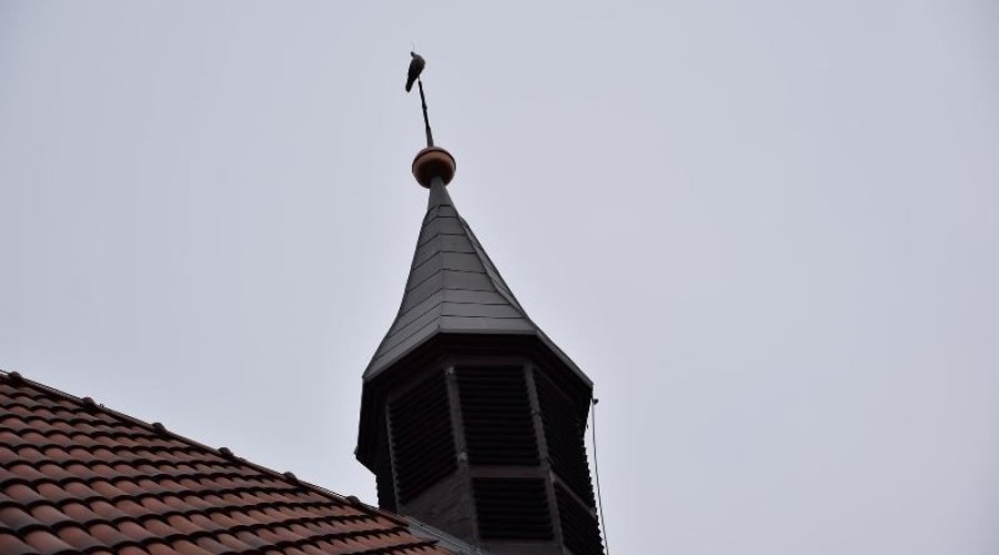 dożynki gmina nowy dwór gd, lubieszewo, orłowo (11)