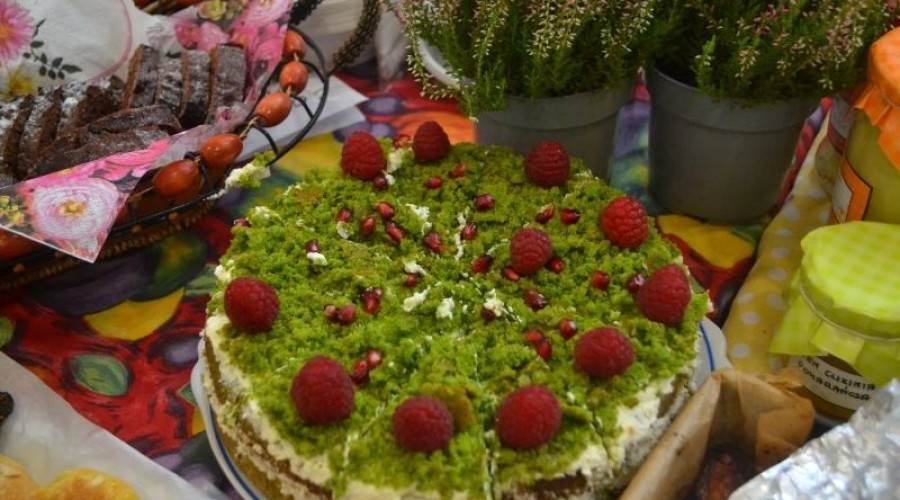 piknik sztutowo (15)