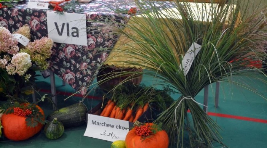 piknik sztutowo (17)