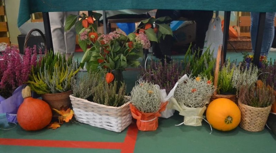 piknik sztutowo (18)