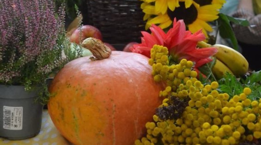 piknik sztutowo (22)