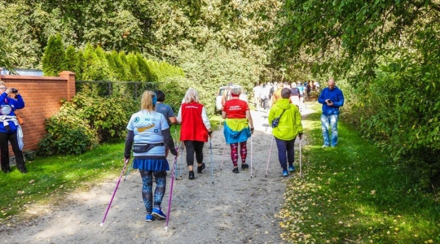 laury bałtyku w Jantarze05