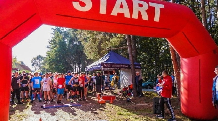 laury morza baltyckiego mikoszewo (29)