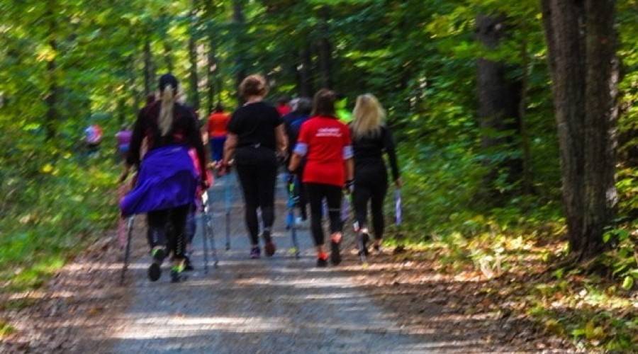 laury morza baltyckiego mikoszewo (7)