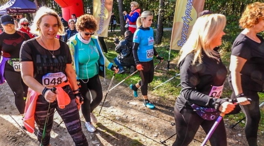 laury morza baltyckiego mikoszewo (9)