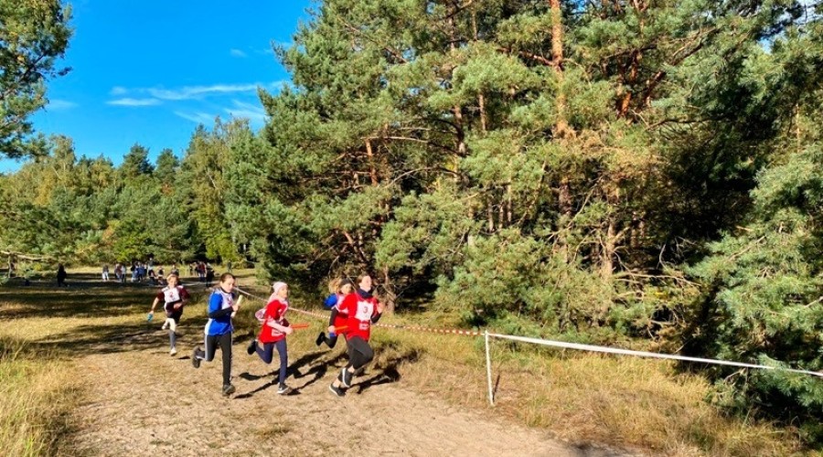 Mistrzostwa Powiatu w Sztafetowych Biegach Przełajowych  (9)