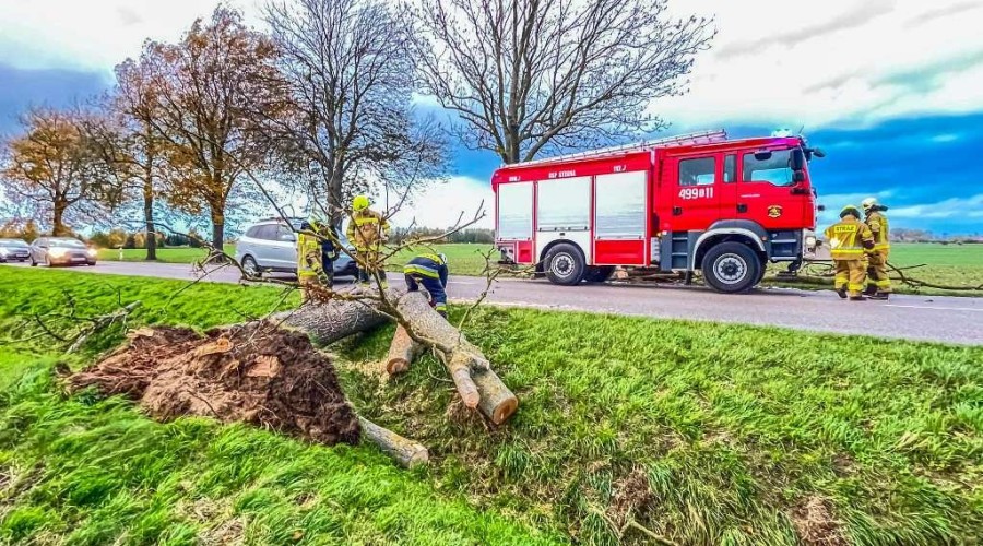 powiat nowodworski wichura (3)