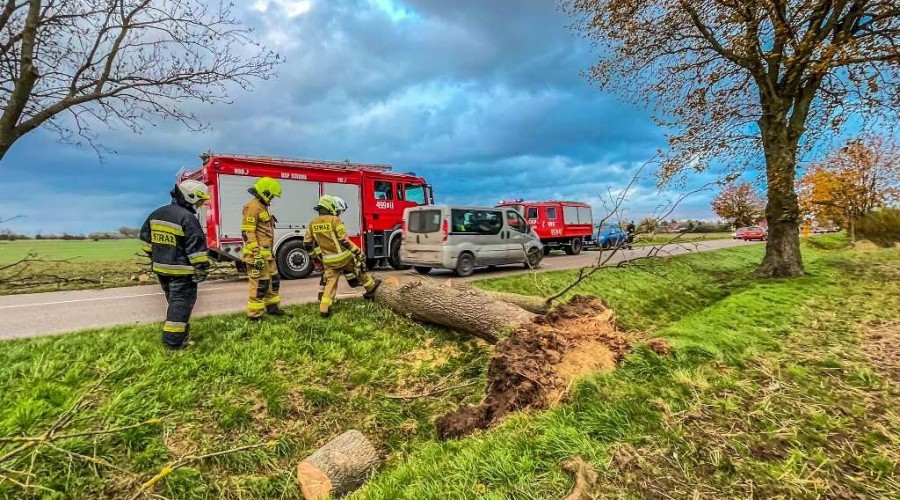 powiat nowodworski wichura (4)