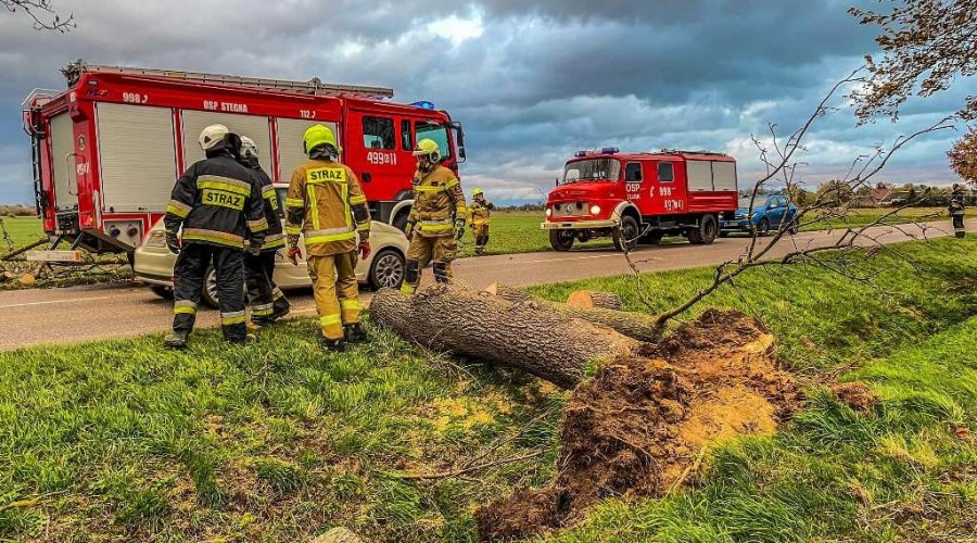 powiat nowodworski wichura (5)