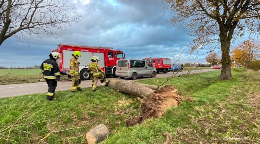 powiat nowodworski wichura (6)