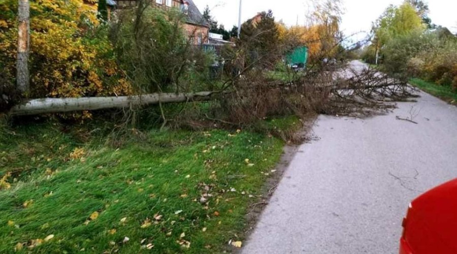 powiat nowodworski wichura (7)