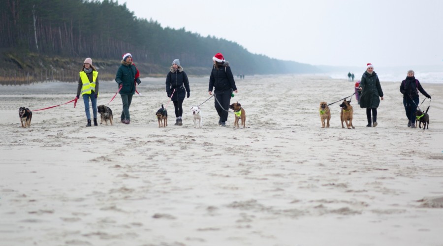 Foto. Stowarzyszenie Iskierka