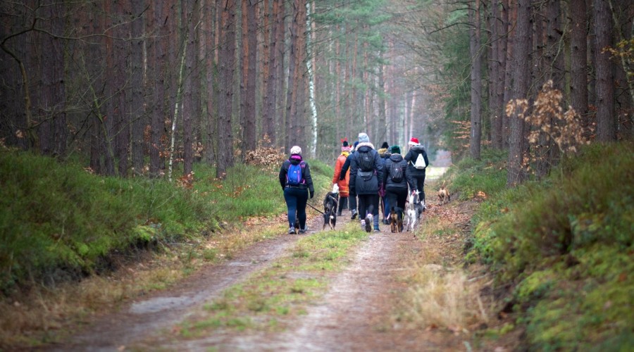 Foto. Stowarzyszenie Iskierka