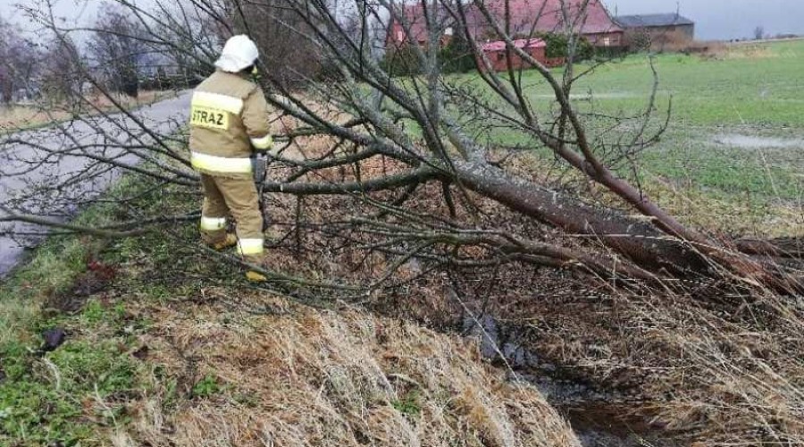 wiatr, interwencje straży04