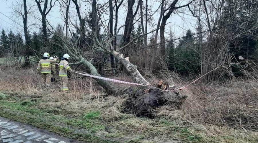 wiatr, interwencje straży07