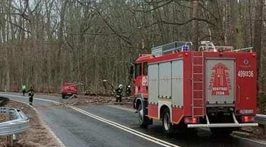 wiatr, interwencje straży13