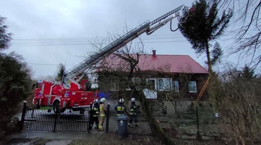 wiatr, interwencje straży14