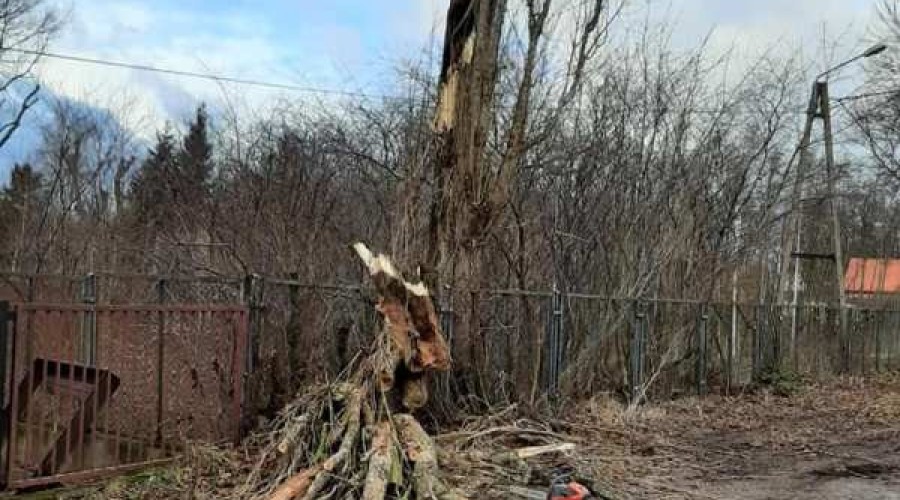 wiatr, interwencje straży16