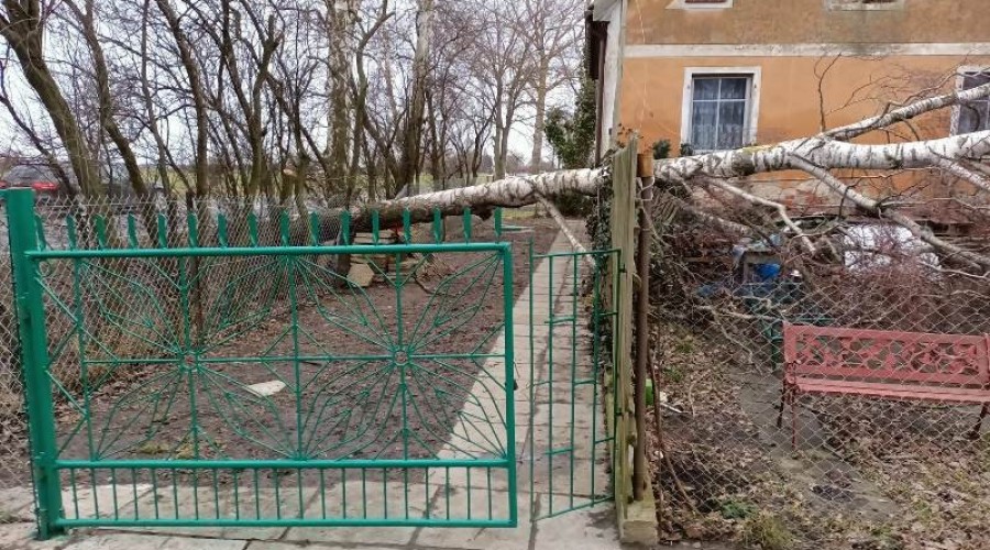 wiatr, interwencje straży19