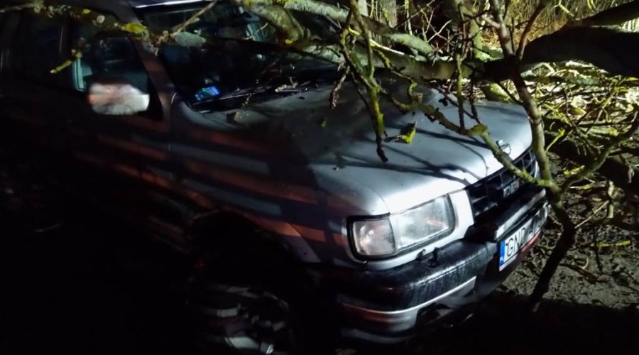 wiatr powalone drzewa powiat nowodworski wichura (13)