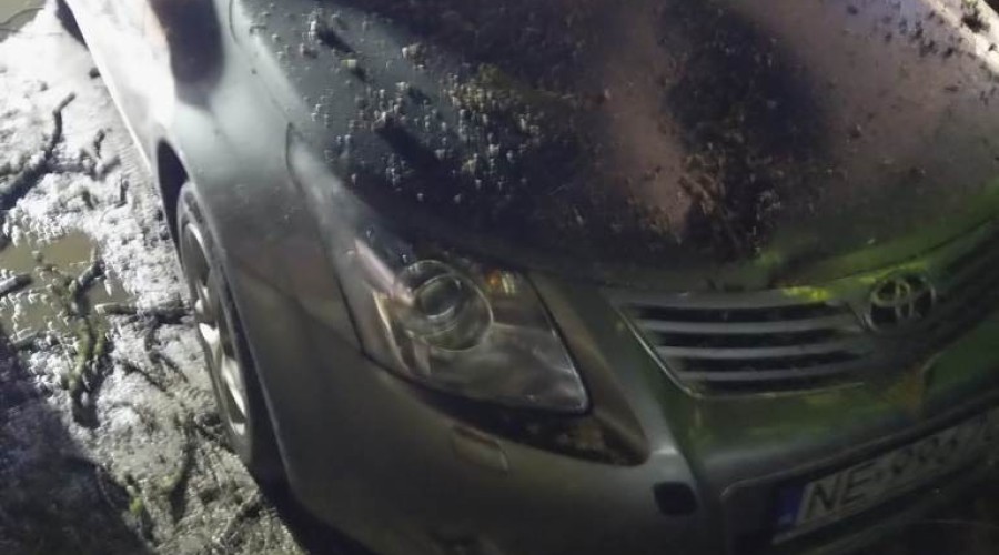 wiatr powalone drzewa powiat nowodworski wichura (14)