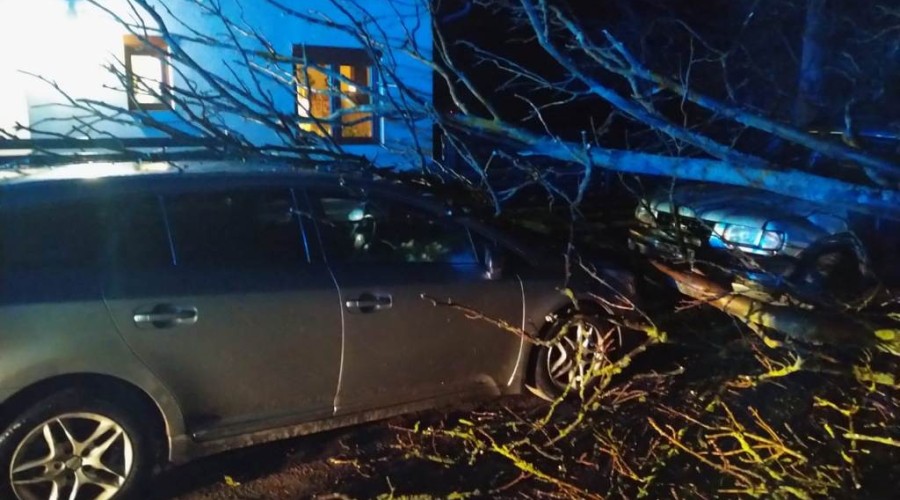 wiatr powalone drzewa powiat nowodworski wichura (15)