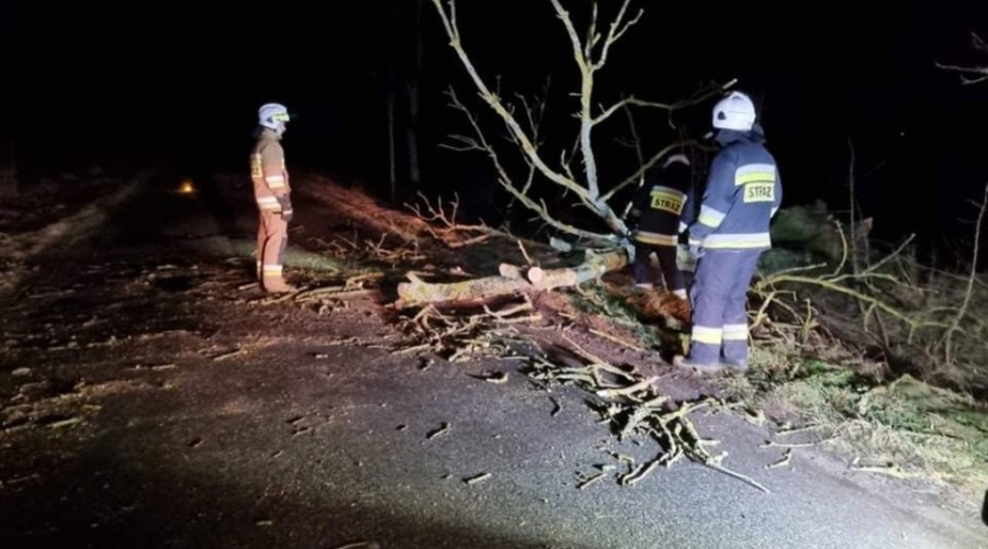 wiatr powalone drzewa powiat nowodworski wichura (2)