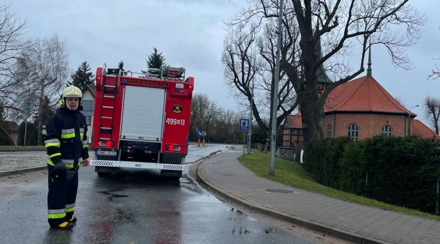 wiatr powalone drzewa powiat nowodworski wichura (22)