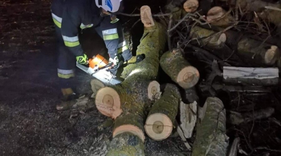 wiatr powalone drzewa powiat nowodworski wichura (5)